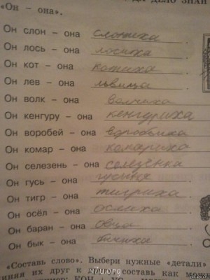 Истории Фимы - Q5dIdW2O3VA.jpg