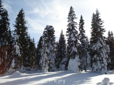 Зимушка-красавица - DSC00726.JPG