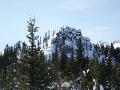 Зимушка-красавица - DSC00540.JPG