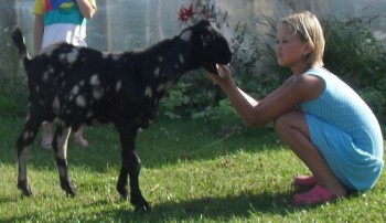 дочки с 4хмесячным козленком