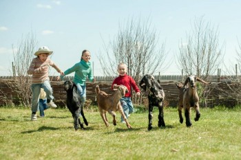 Наши козы - 20150505-DSC_1741.jpg