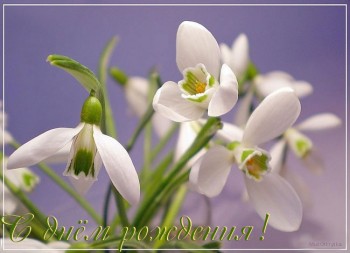 Истории Фимы - Открытка С Днем.jpg