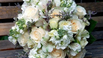 В ожидании аиста - c8b982a95d9a0a3bc2ae3f618d8b93ef.jpg