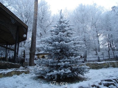 Зимушка-красавица - getImage (7).jpg