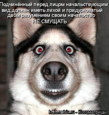 Школа приемных родителей. - 0052.jpg