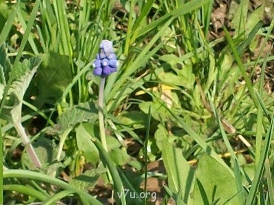 Ваше состояние души: мысли и чувства в картинке или мелодии - 100_8227.JPG