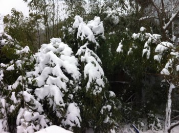 Страхи, радости и мы - IMG_4044.JPG