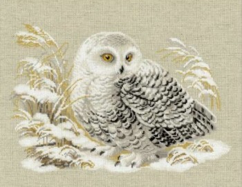 Хроники неугомонных - bel_sova_0.jpg