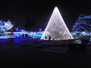 Япония.Жизнь и воспитание детей - image (27).jpg