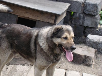 Полуазиат-полукавказец