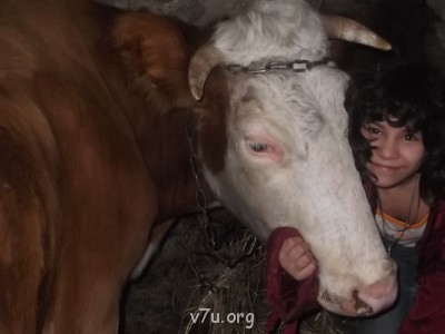 Камила и Красотуля