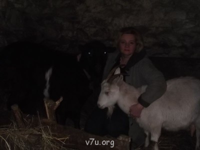 страшное слева-козел Барин