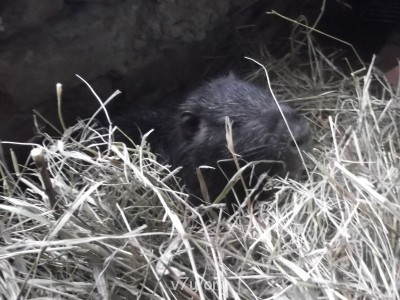 муж, которого жена выселила из семейного ящика