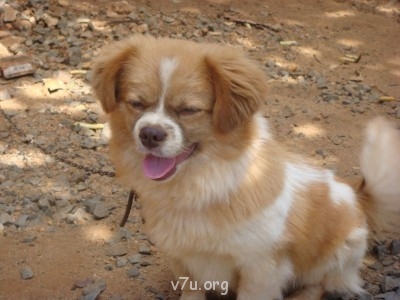 Хочу, но боюсь - 064.JPG