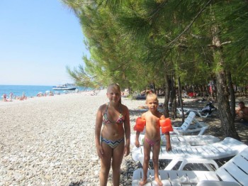 пляж и сосны