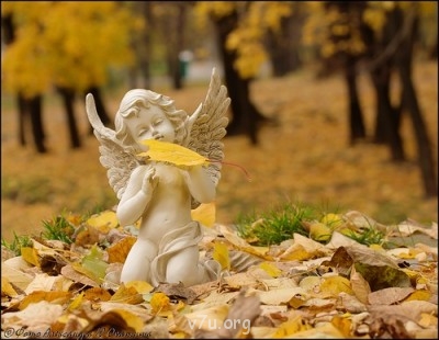 Про день рождения - 0_STATIC93742_388245c9_L[1].jpg