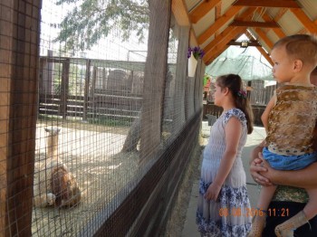 : - об отдыхе на море ;  - 8.jpg