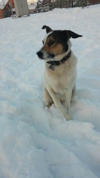 Санек Наш приемный сын-подросток - image-0-02-05-63a01a9f7d654c93d028e13d28870829a4ef1be914e15893140acedbd676c9a3-V.jpg