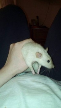 Санек Наш приемный сын-подросток - image-0-02-05-eaf566158d1dc24fa816f9fdcf0135d17d8cdfde6741ea1da22037acd4d22916-V.jpg