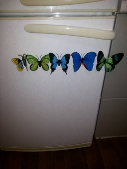 Моя история. Приёмный ребенок-младенец. - 20170419_185524.jpg