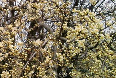 Дауншифтинг:семья переезжает из Москвы в провинцию - ф1.jpg