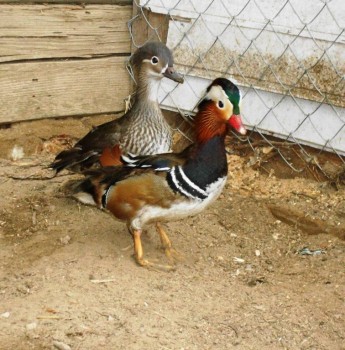 Истории Фимы - DSCN0110.JPG