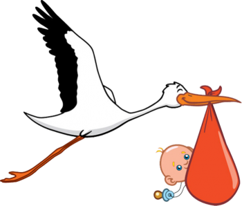 В ожидании аиста - 11691269.png