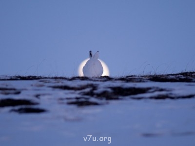 Ваше состояние души: мысли и чувства в картинке или мелодии - 0_d1860_5bd77c18_orig.jpg