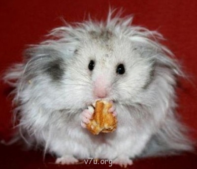 Ваше состояние души: мысли и чувства в картинке или мелодии - getImage (2).jpg