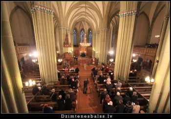 Мать-и-мачеха - img_1191.jpg