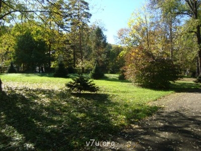 Переезд в Краснодарский край - DSC00436.JPG