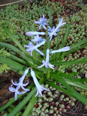 Переезд в Краснодарский край - DSC02909.JPG