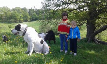 Мои Дашулька и Ванечка - 20170529_112642_500x300.jpg