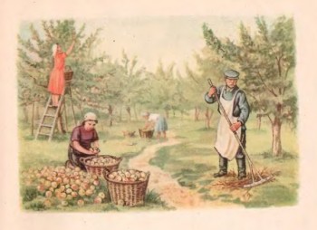 Очень средняя школа - 1495811372_6.jpg