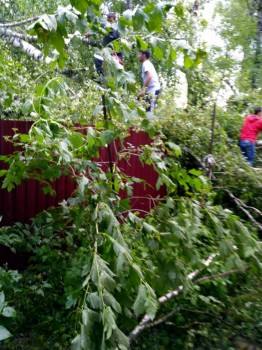 У природы нет плохой погоды - IMG_20170630_184803_HDR.jpg