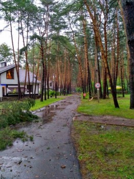 У природы нет плохой погоды - IMG_20170630_152328_HDR.jpg