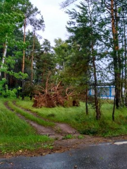 У природы нет плохой погоды - IMG_20170630_153306_HDR.jpg