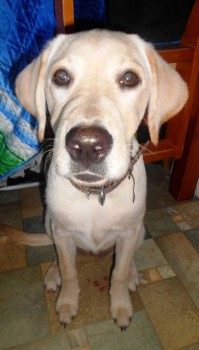 Истории Фимы - DSCN0071 (2).JPG