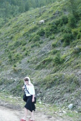 Летний отдых - P1020365.JPG