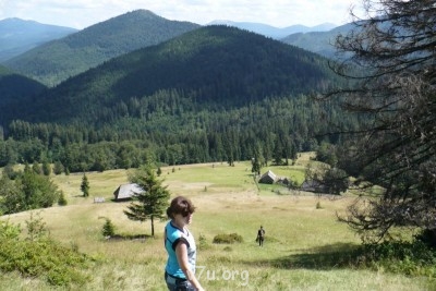 Летний отдых - P1020358.JPG