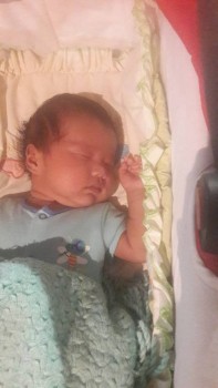 Спит мой хомяк )))). Почему то не грузятся фото с теоефона ((*