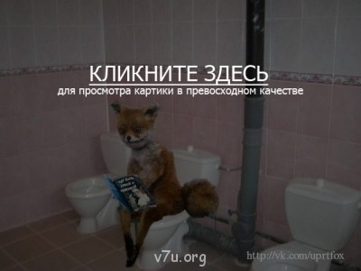 Болтаем обо всём - -----4~1.JPG