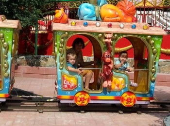 Солнечного настроения тем, кто ищет своих детей  - зллпарк5.jpg