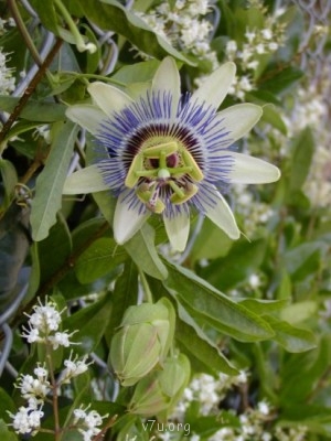  Есть такие дети и нужно с этим жить  - a607f7ad8137e485.jpg