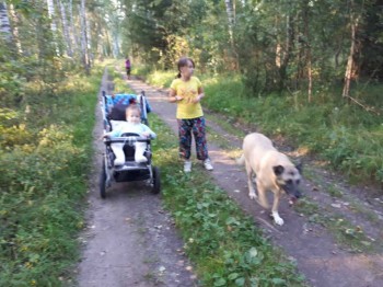 Наш Зайка - image-0-02-05-55d0488eefa9e818c0f094a7e908fab8d1f9fc5ac50076bc0b0d5a5b82b651c3-V.jpg