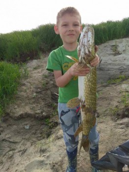 Солнечного настроения тем, кто ищет своих детей  - год прошел3.jpg