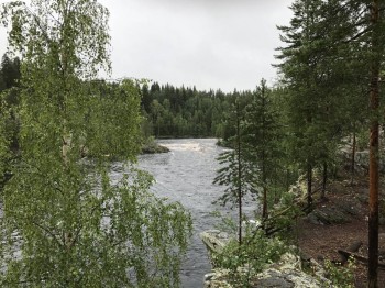 Лагеря для наших детей - 35651926033_ec0f2f17a9_o.jpg