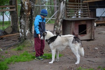 Лагеря для наших детей - 36024055250_d03e9d70b6_o.jpg