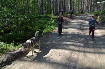 Лагеря для наших детей - 36252405062_7ddb9df79e_o.jpg