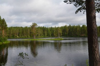 Лагеря для наших детей - 36252393752_7e20a6a093_o.jpg